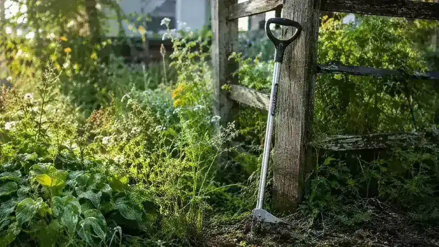 Grampa's Weeder stand-up tool leaning against a wooden fence post in a backyard garden with weedy soil in the background