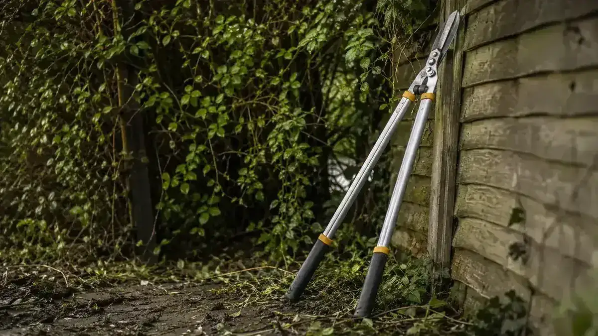 A pair of long-handled loppers leaning against a wooden garden fence post, overgrown shrub branches visible behind them on a bright morning